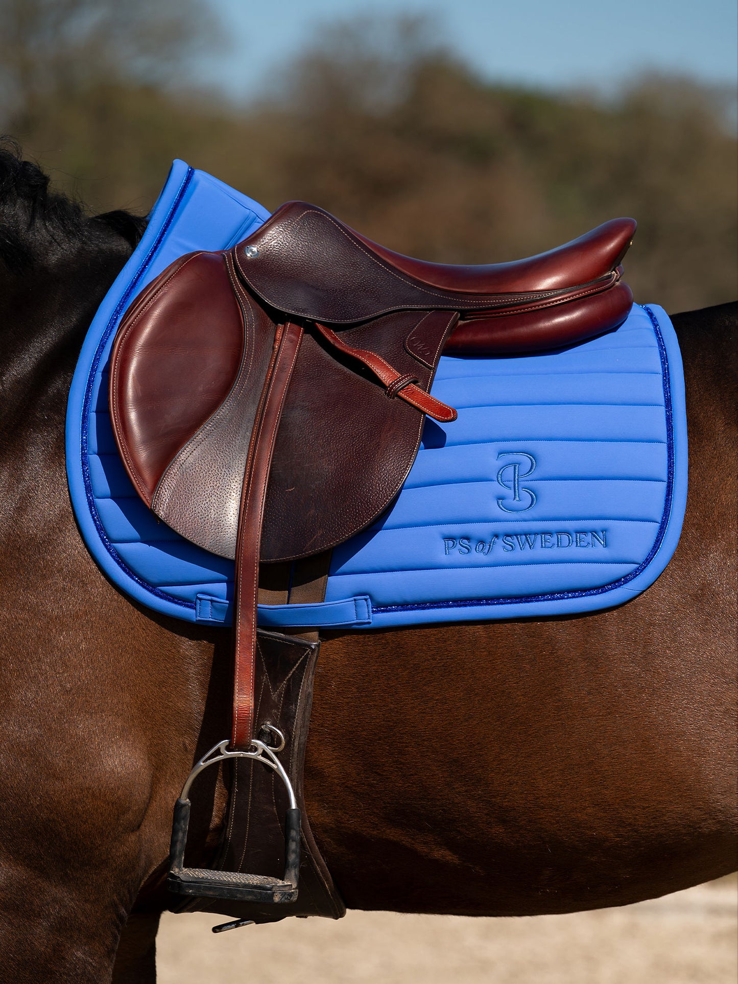 SP STRIPE Blue Violet, Jump