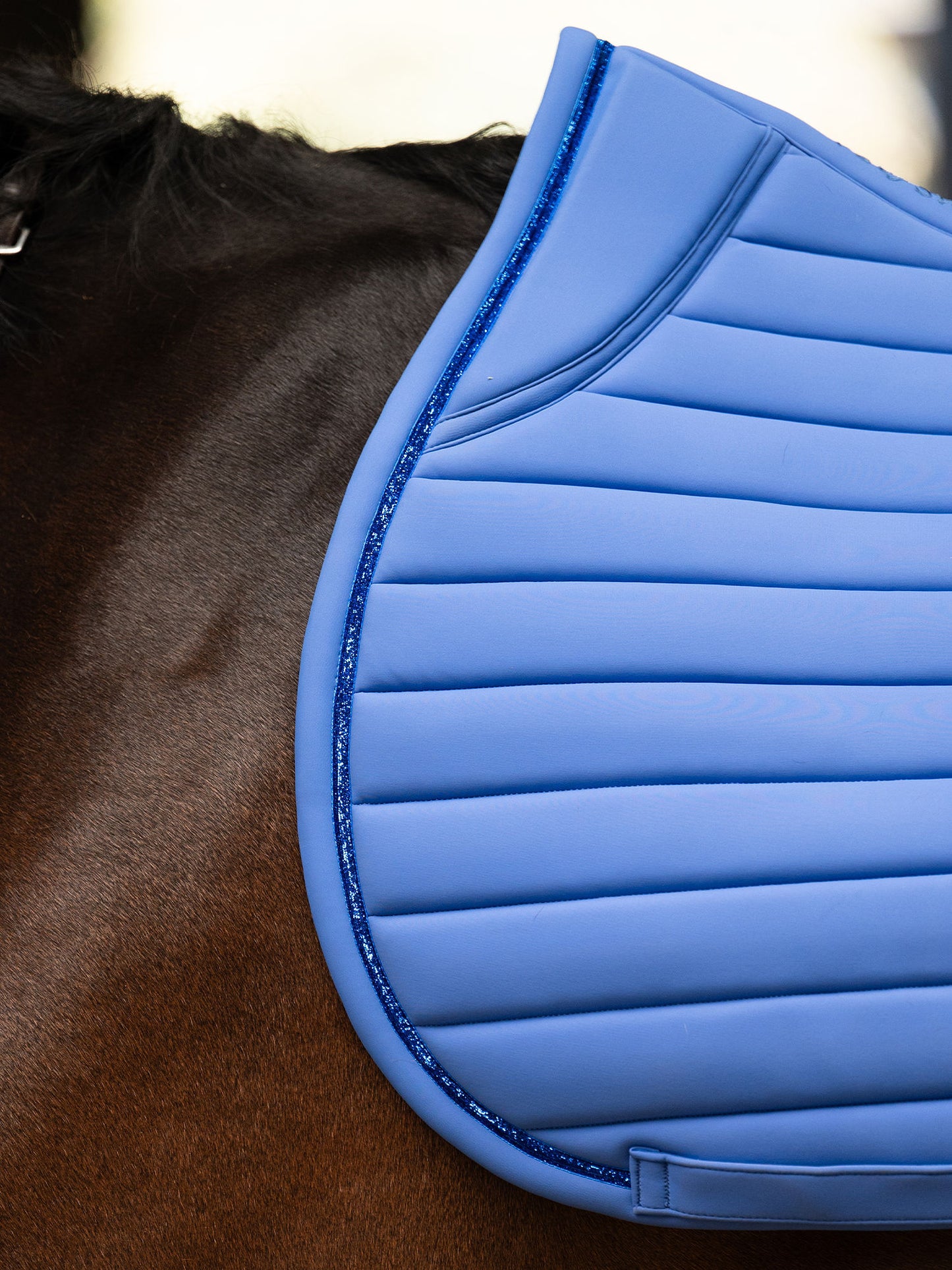 SP STRIPE Blue Violet, Dressage