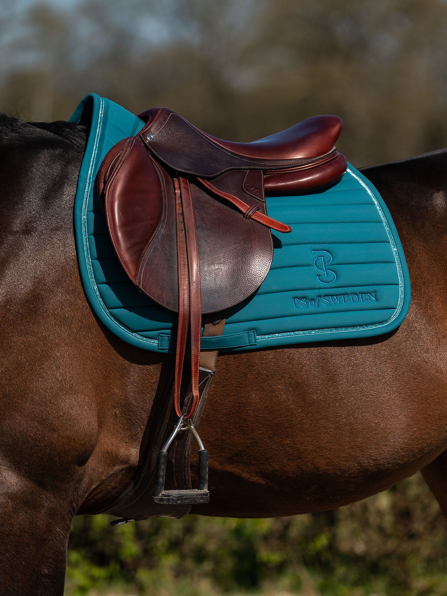 SP STRIPE JAde Noir, Jump