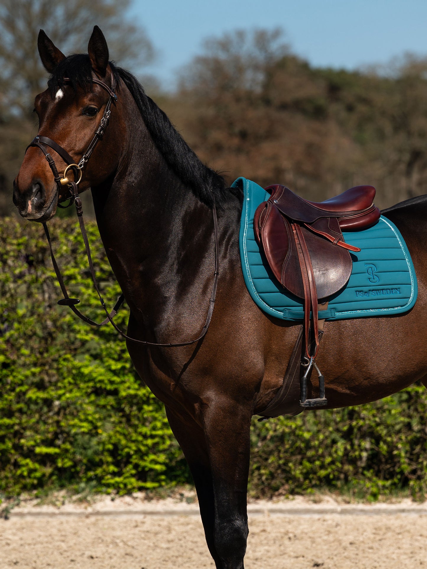 SP STRIPE JAde Noir, Jump