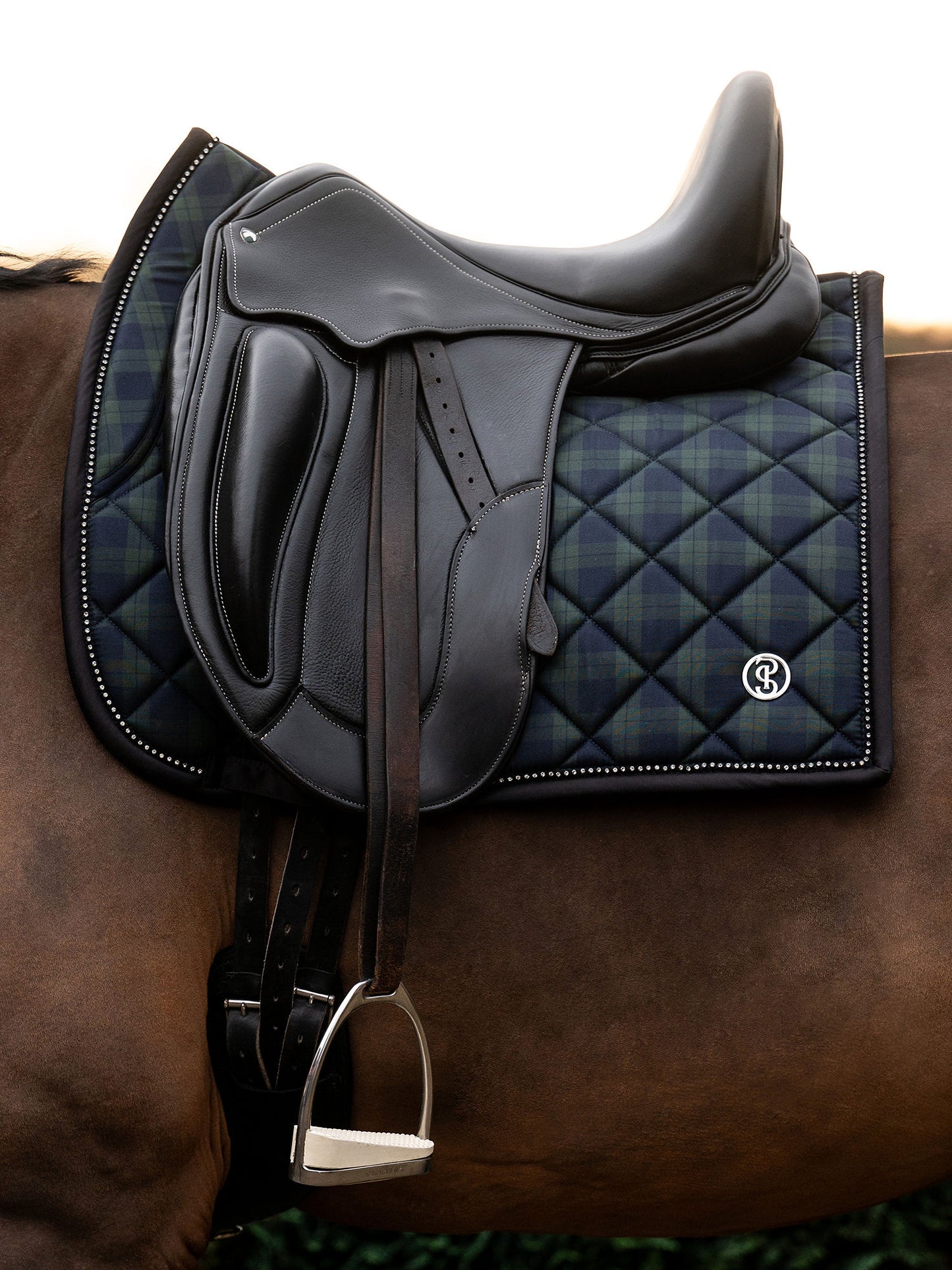 SP Tartan Checked MIDNIGHT GREEN, Dressage