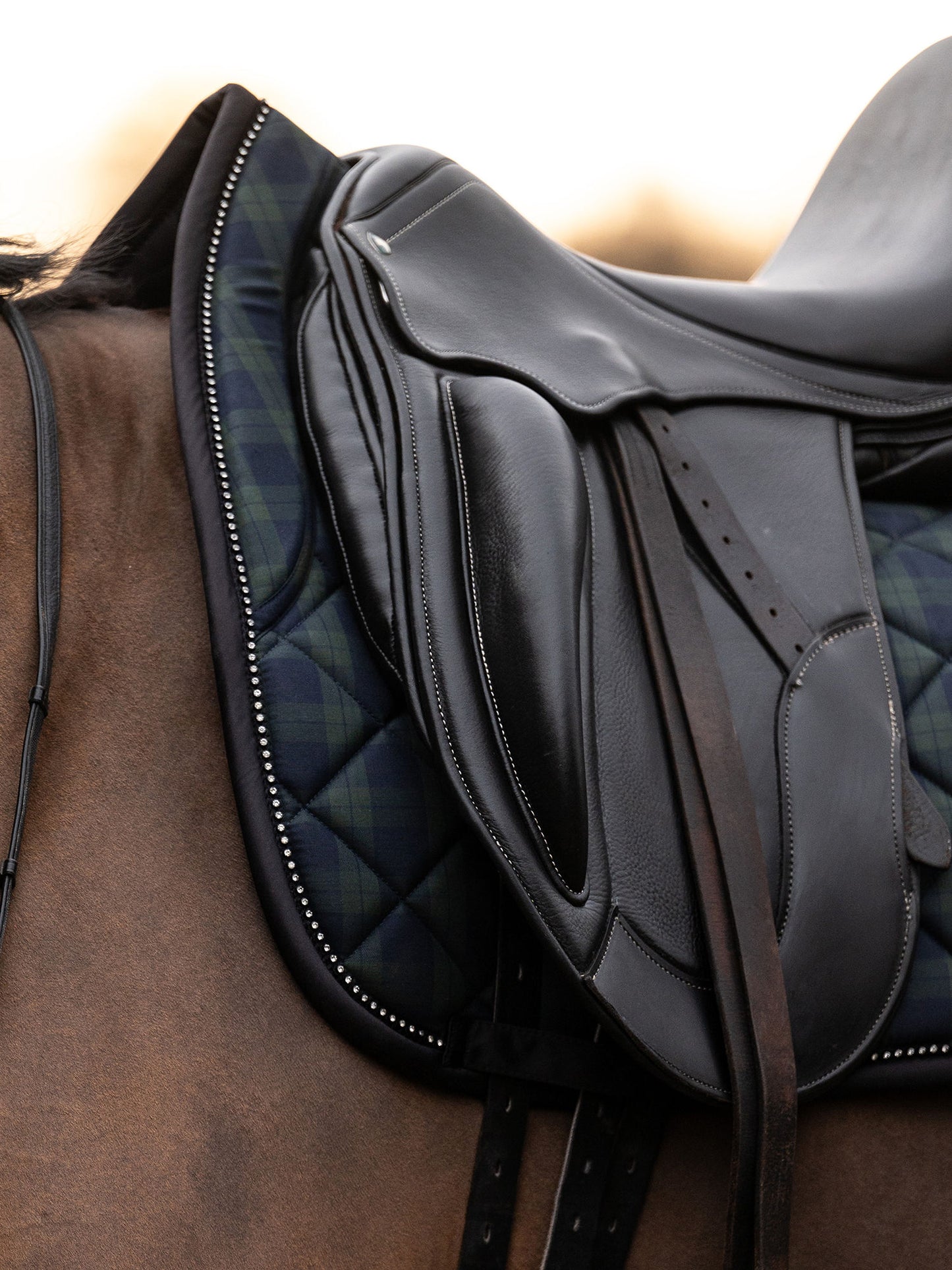 SP Tartan Checked MIDNIGHT GREEN, Dressage