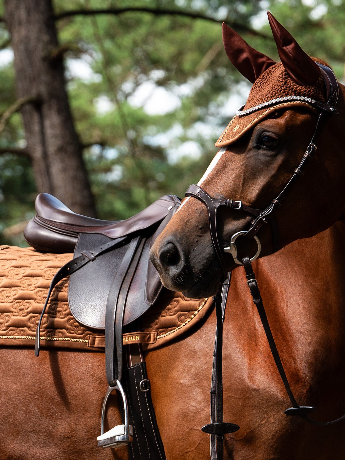SP Velvet Monogram FUDGE Dressage