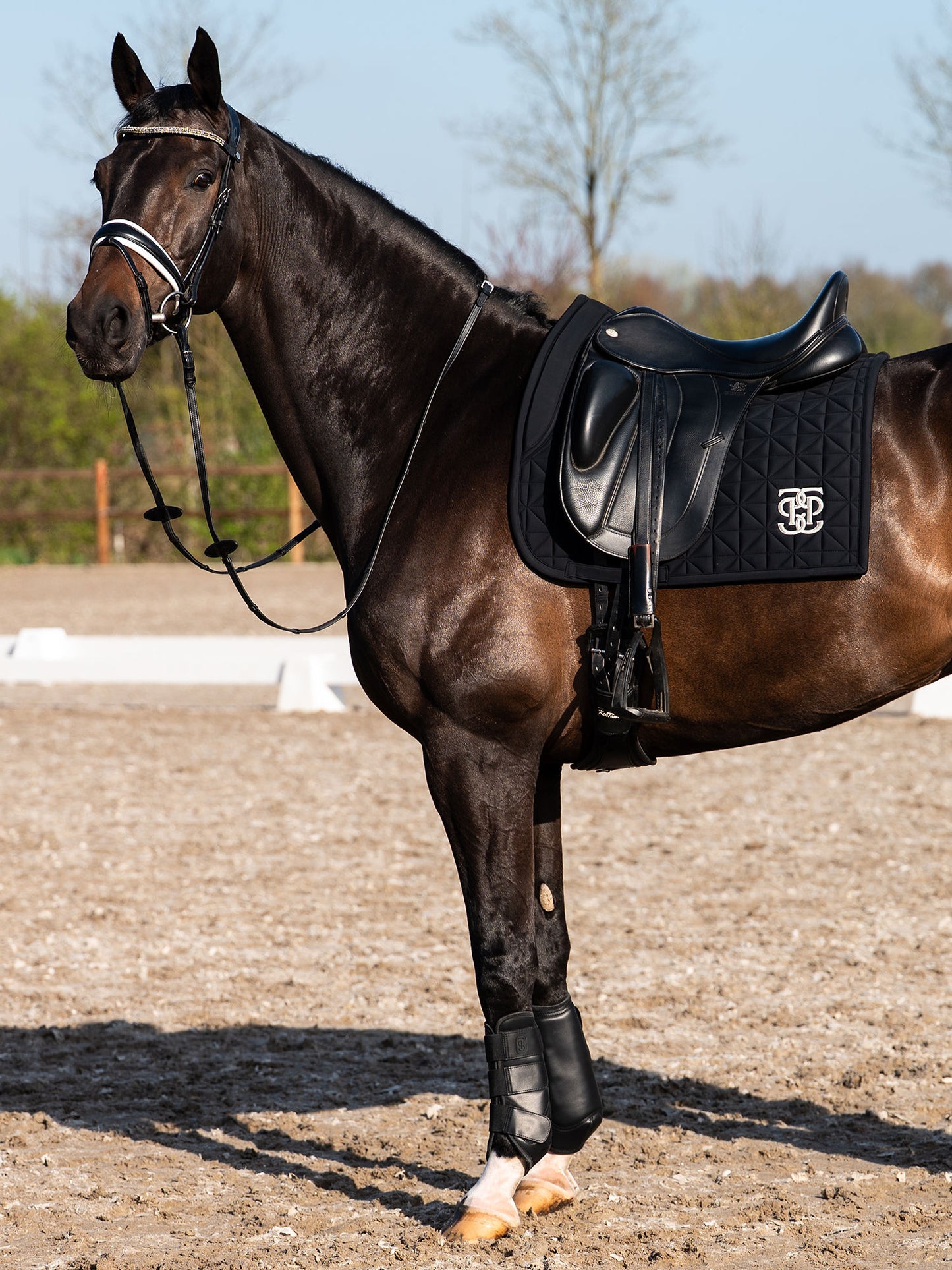SP Diamond Quilt BLACK , Jump