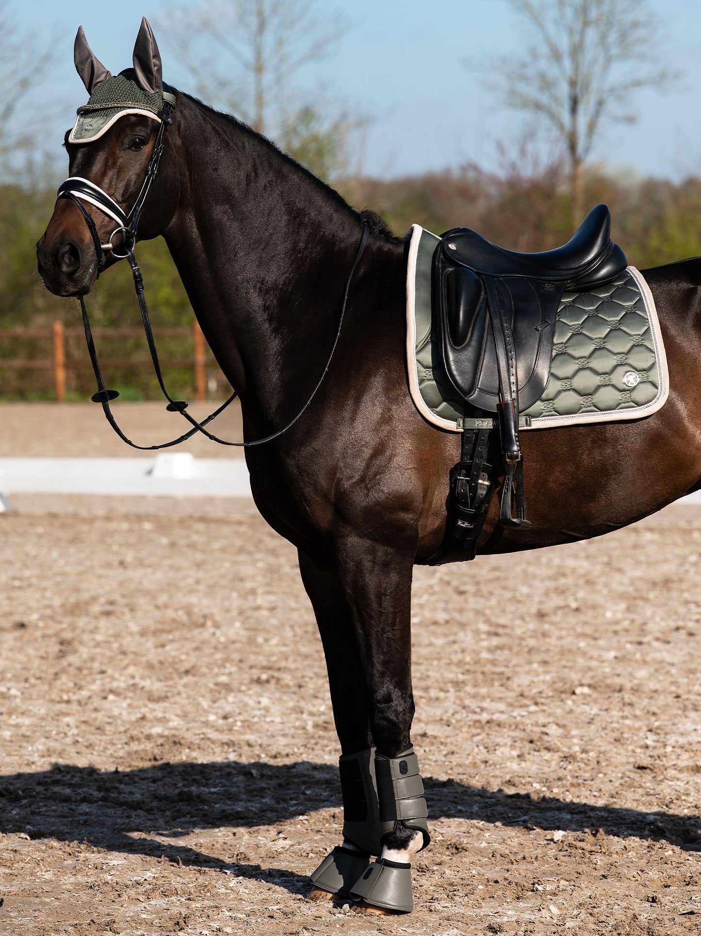 SP Vintage Monogram MIST GREEN, Dressage