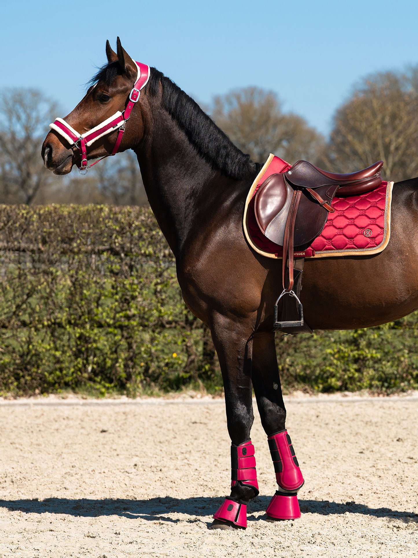 SP Vintage Monogram MIDNIGHT FUCHSIA, Dressage