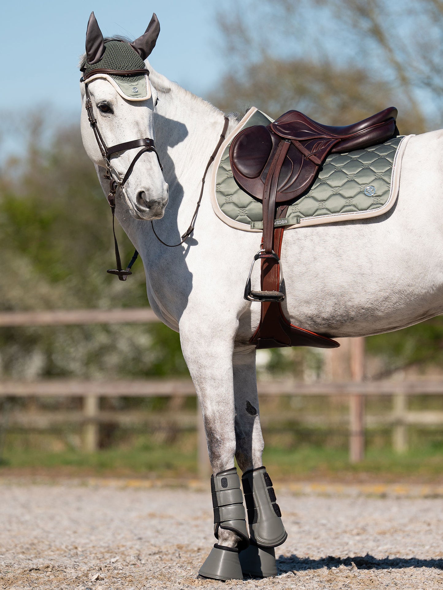 SP Vintage Monogram MIST GREEN, Dressage