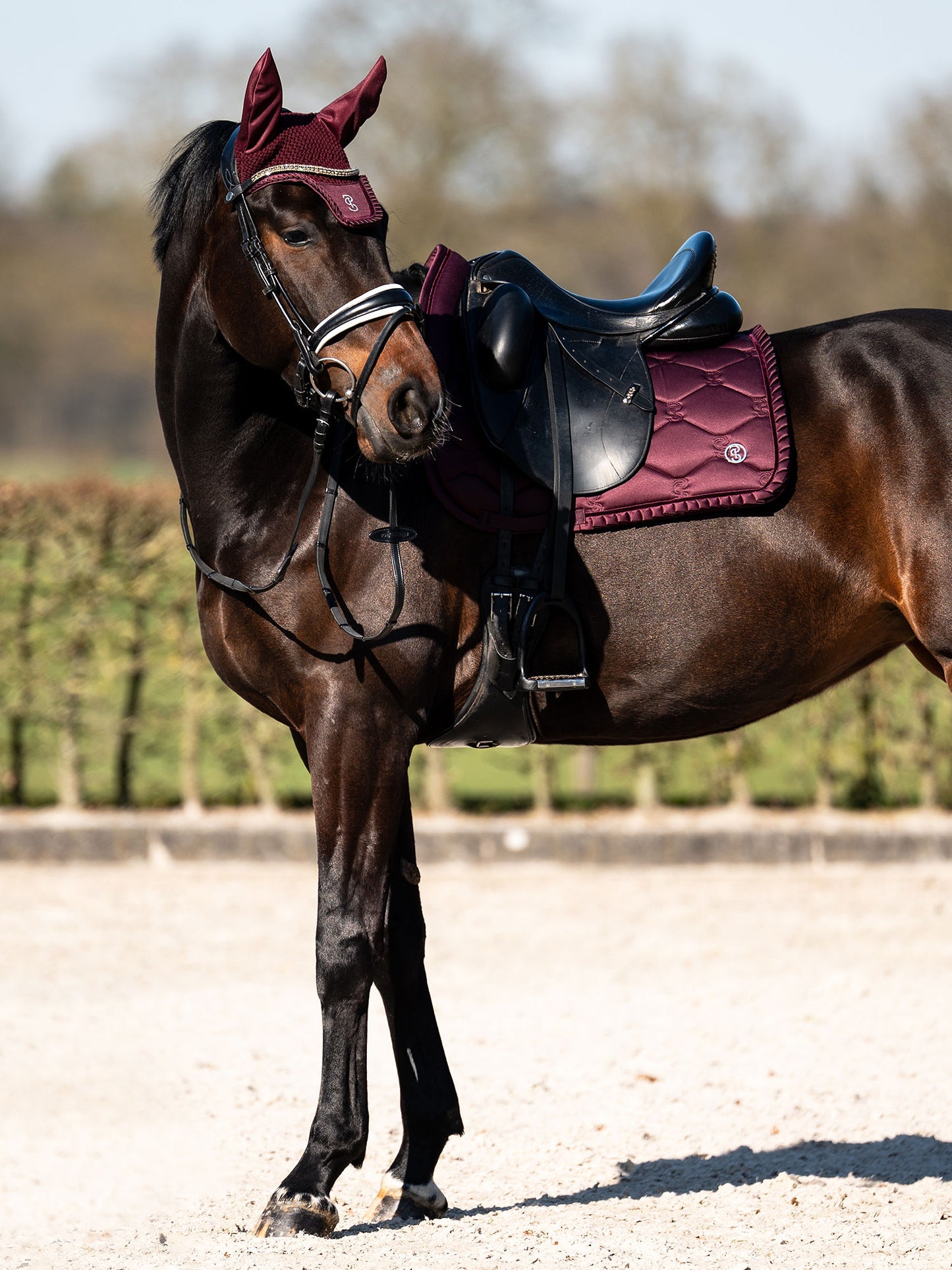 SP Ruffle PLUM, Jump