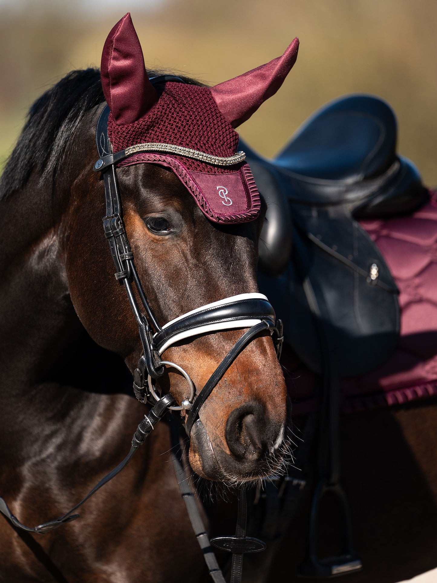 SP Ruffle PLUM, Dressage