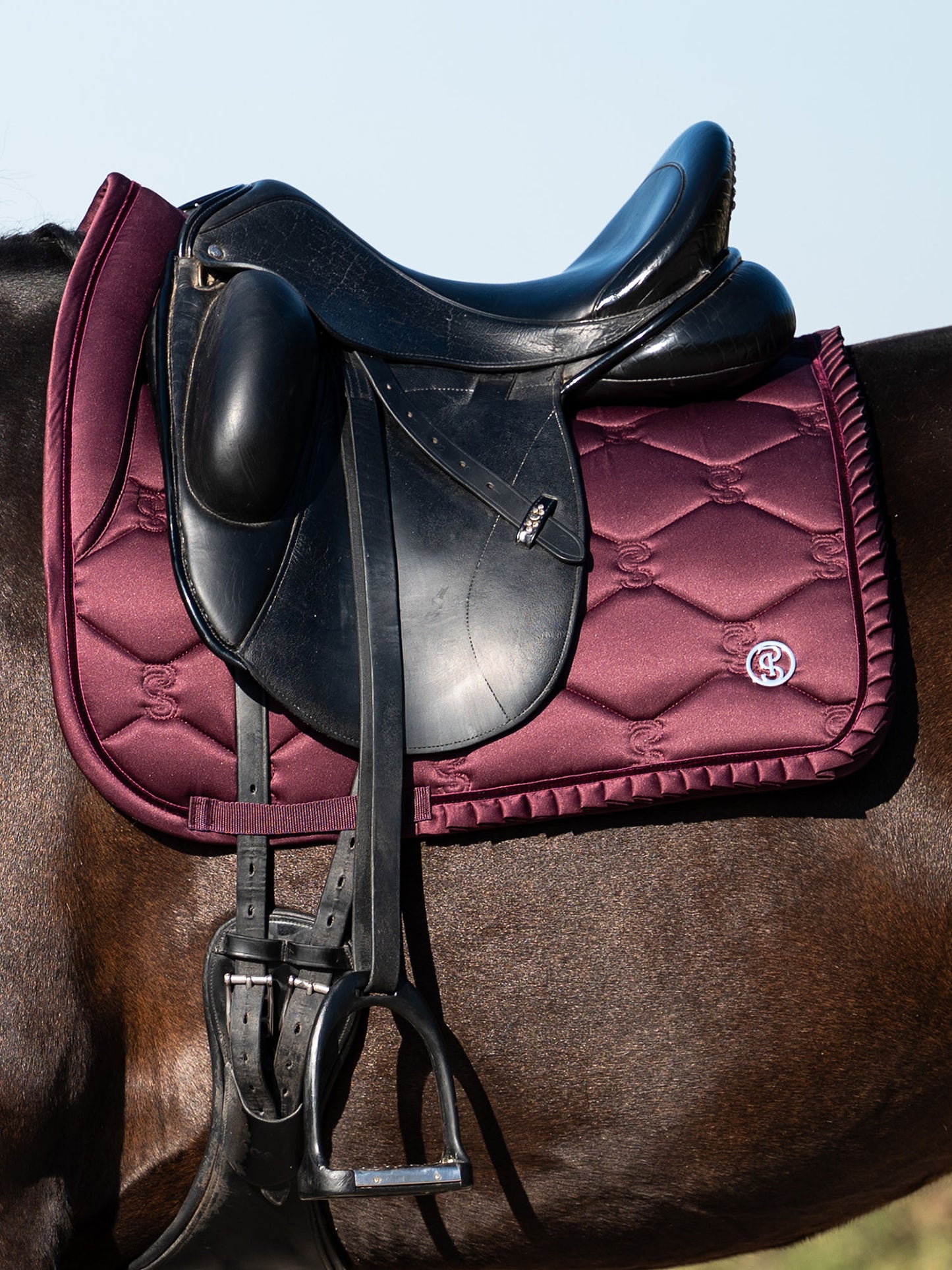 SP Ruffle PLUM, Dressage