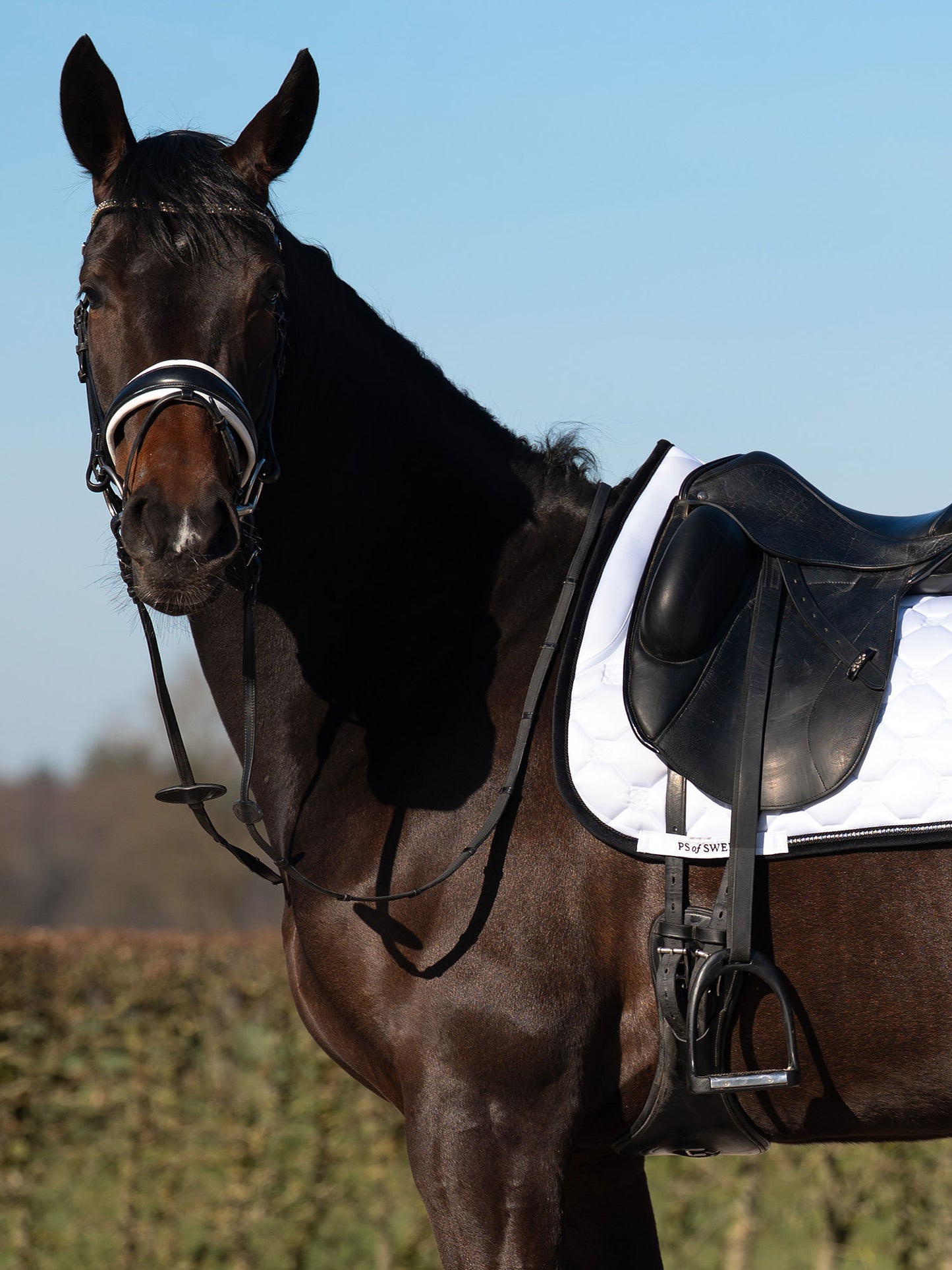 SP Vintage Monogram WHITE & BLACK, Dressage
