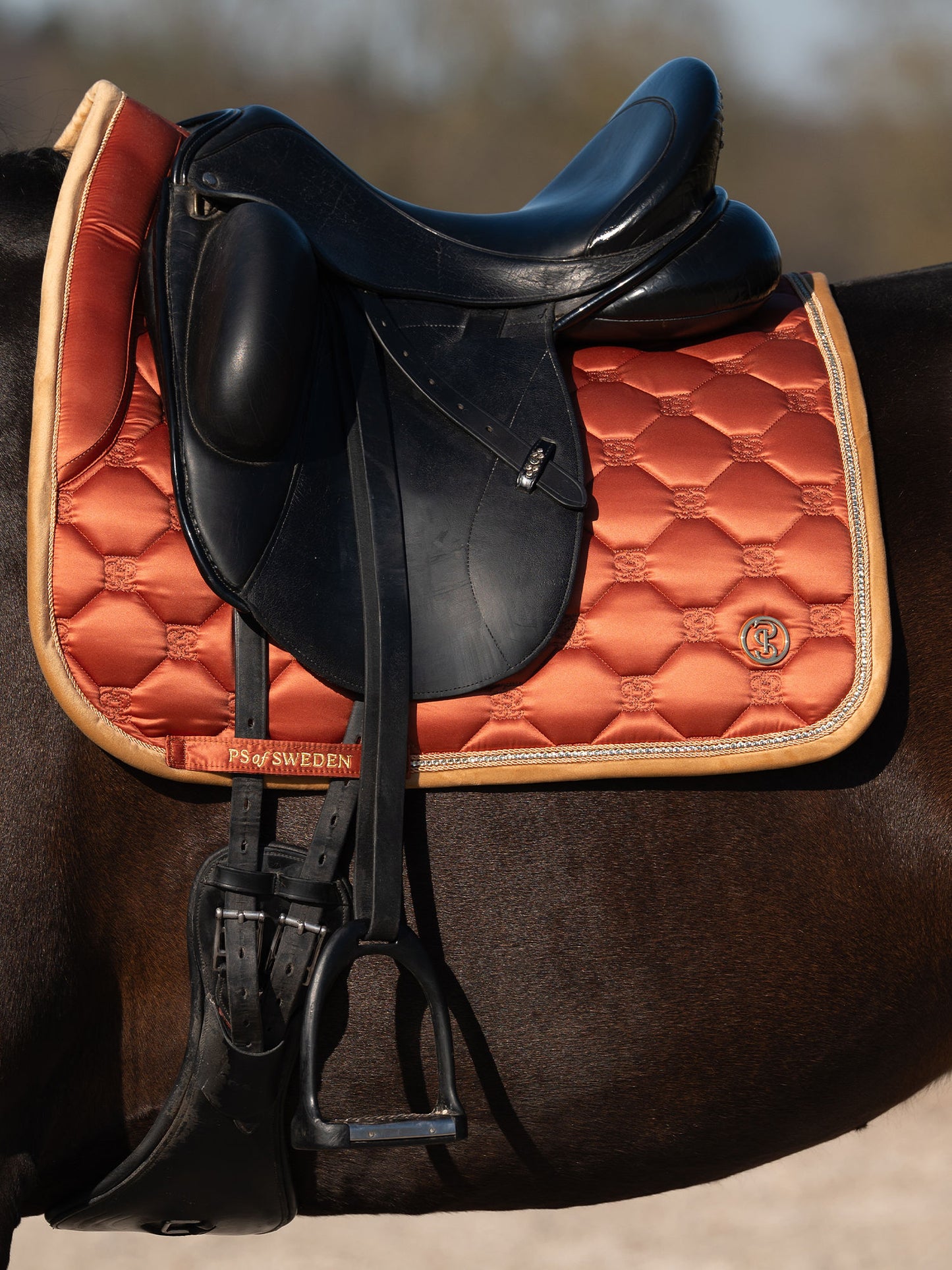 SP Vintage Monogram CHESTNUT BROWN, Dressage