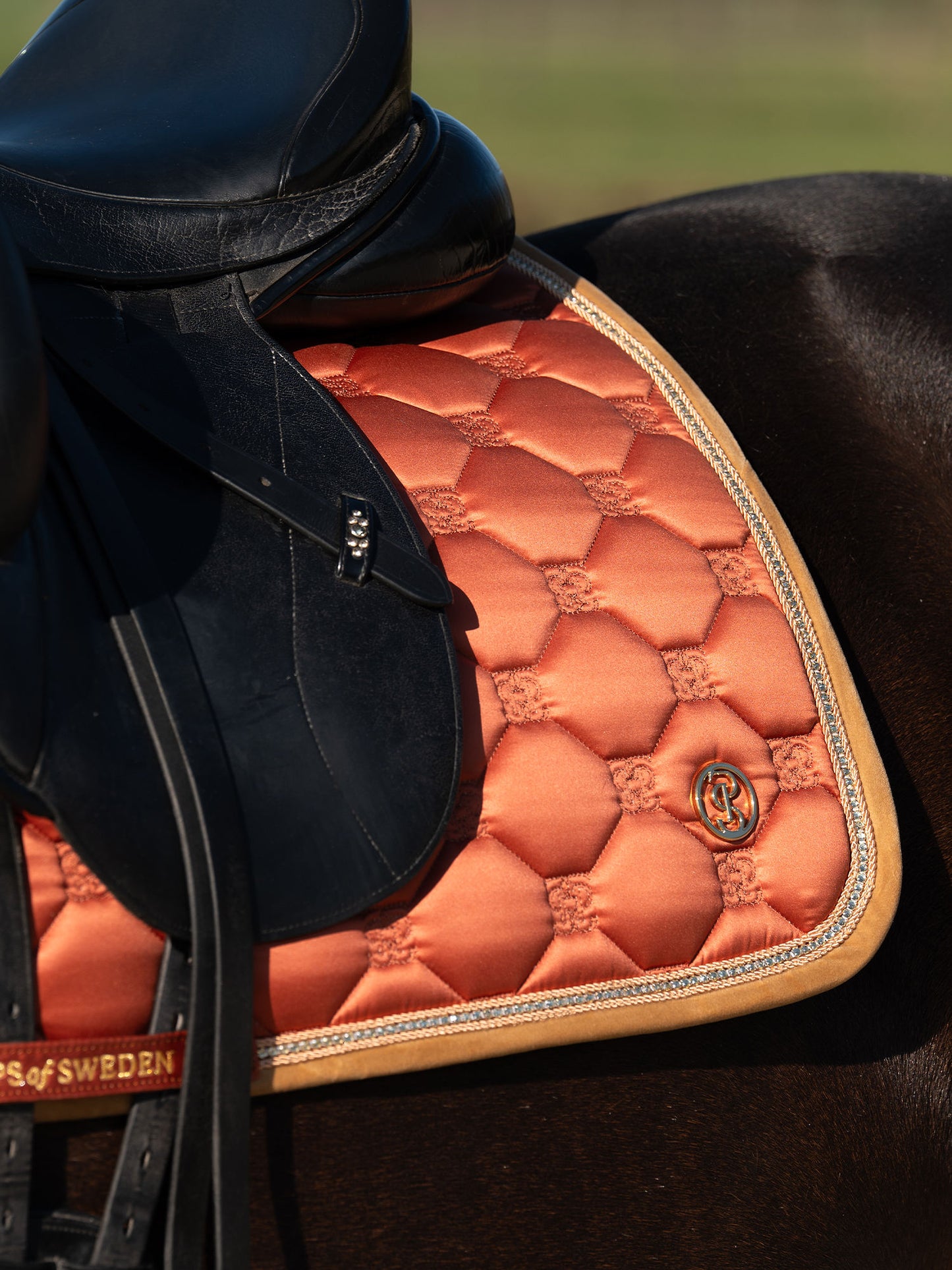 SP Vintage Monogram CHESTNUT BROWN, Dressage