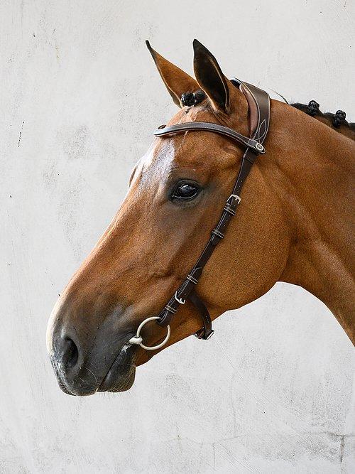 Helsinki - PS Bridles