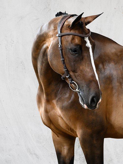Helsinki - PS Bridles