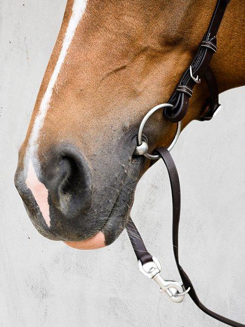 Helsinki - PS Bridles
