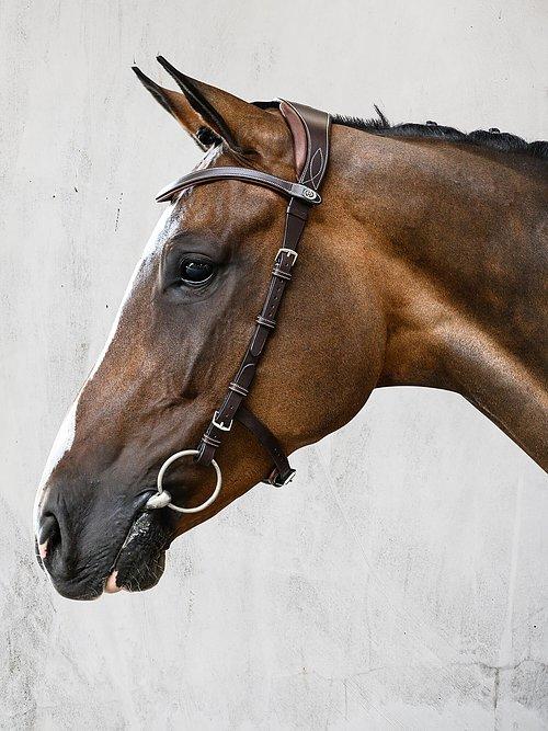 Helsinki - PS Bridles