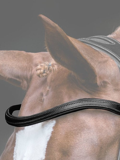 Browband Flat U-Shape