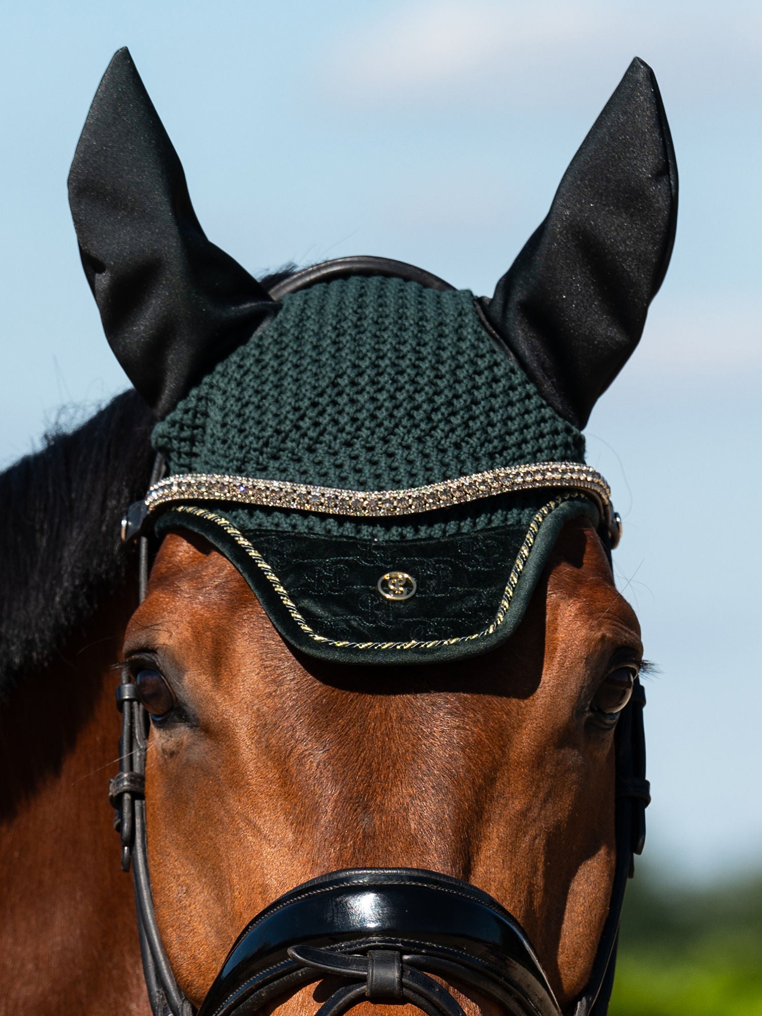 Browbands - PS Bridles