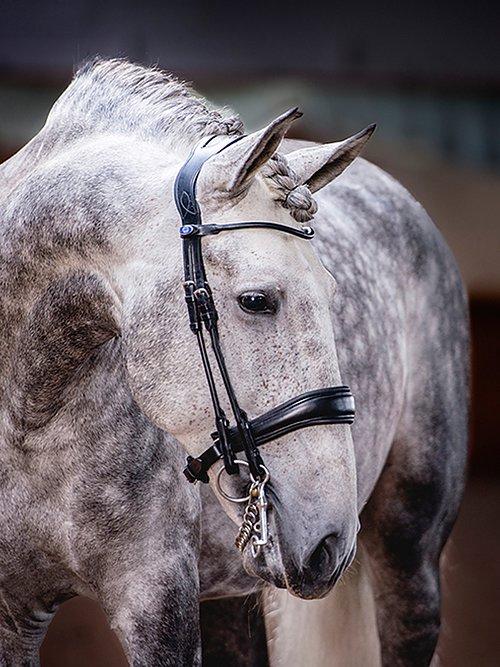 Anatomical Double Bridles - PS Bridles