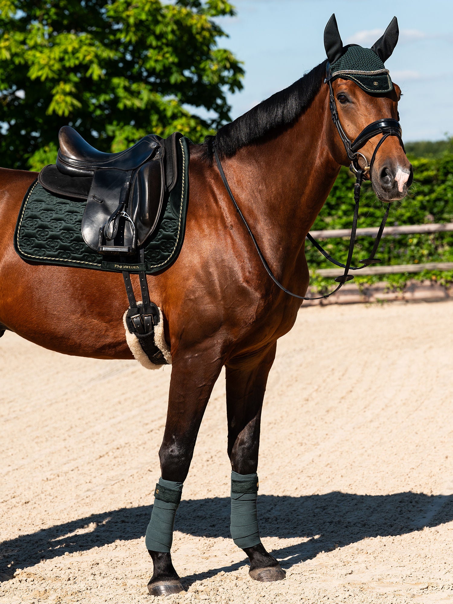 Saddle Pads, Fly Hats & Polos - PS Bridles