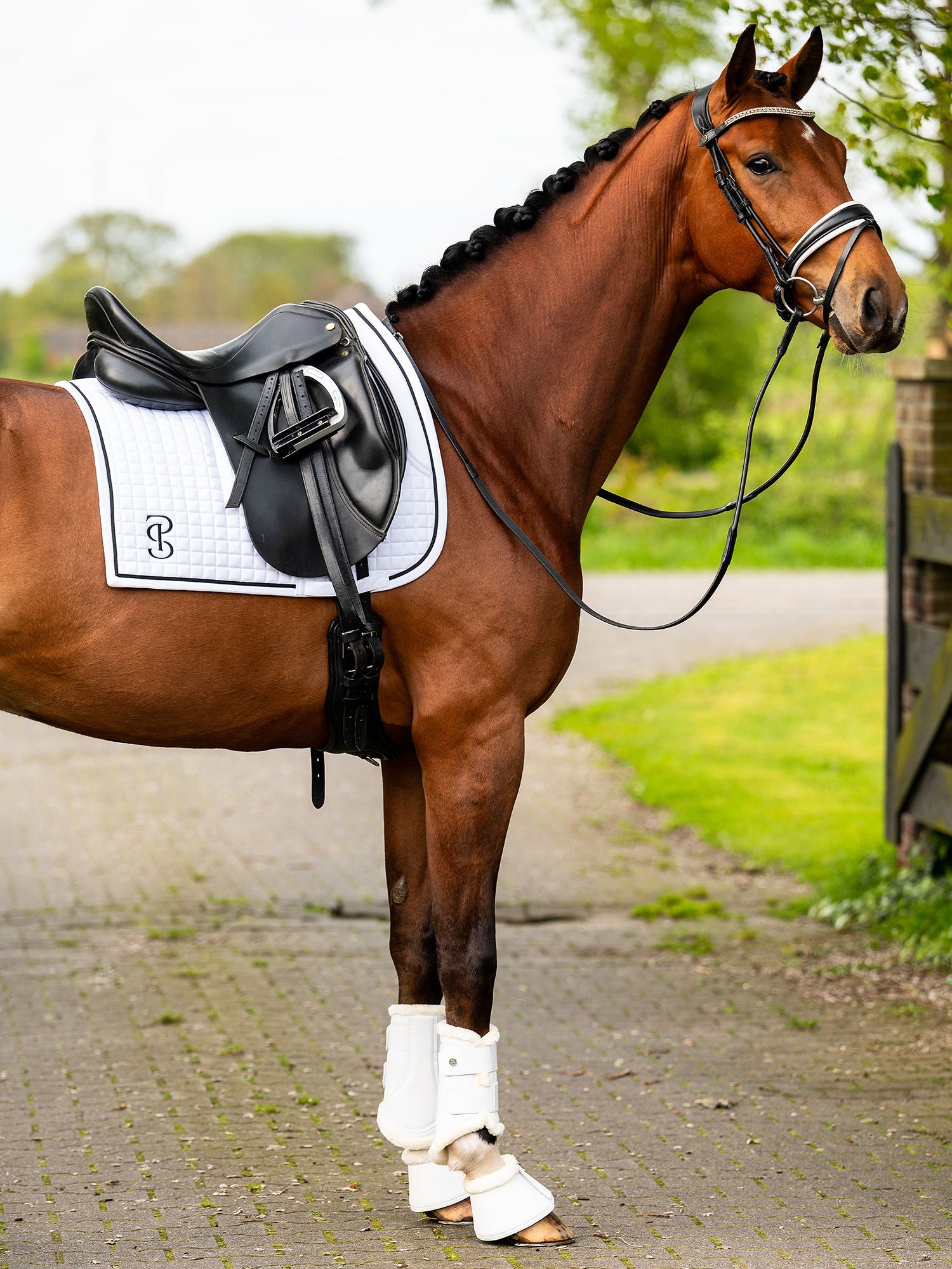 Competition Shirts - PS Bridles