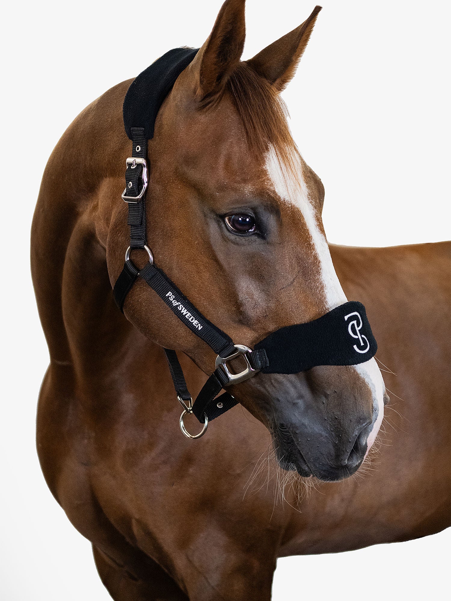 Halters - PS Bridles