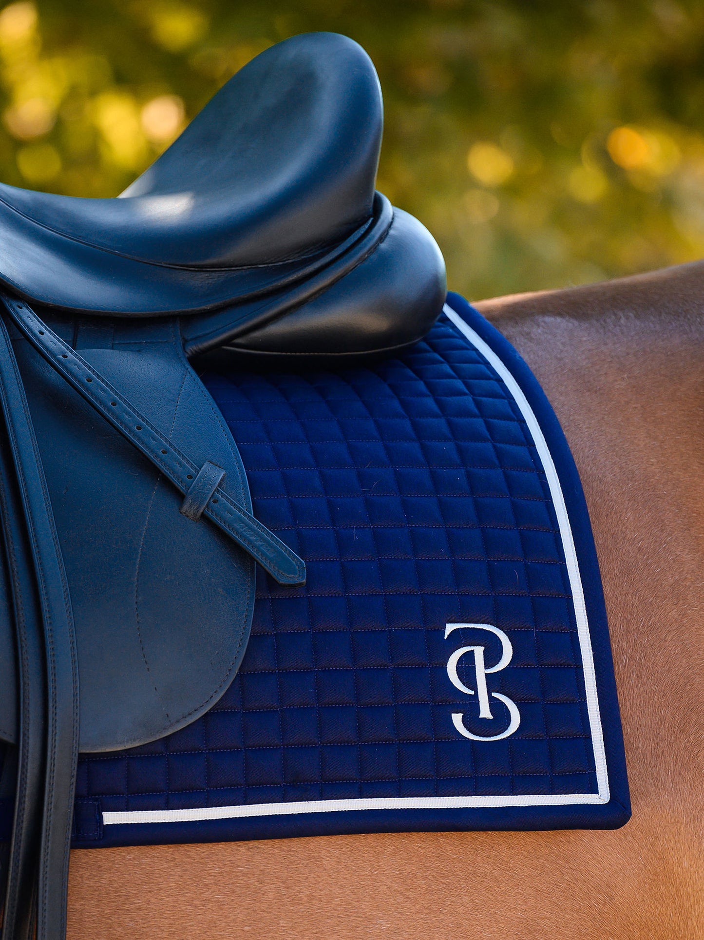 SP Elite NAVY Dressage