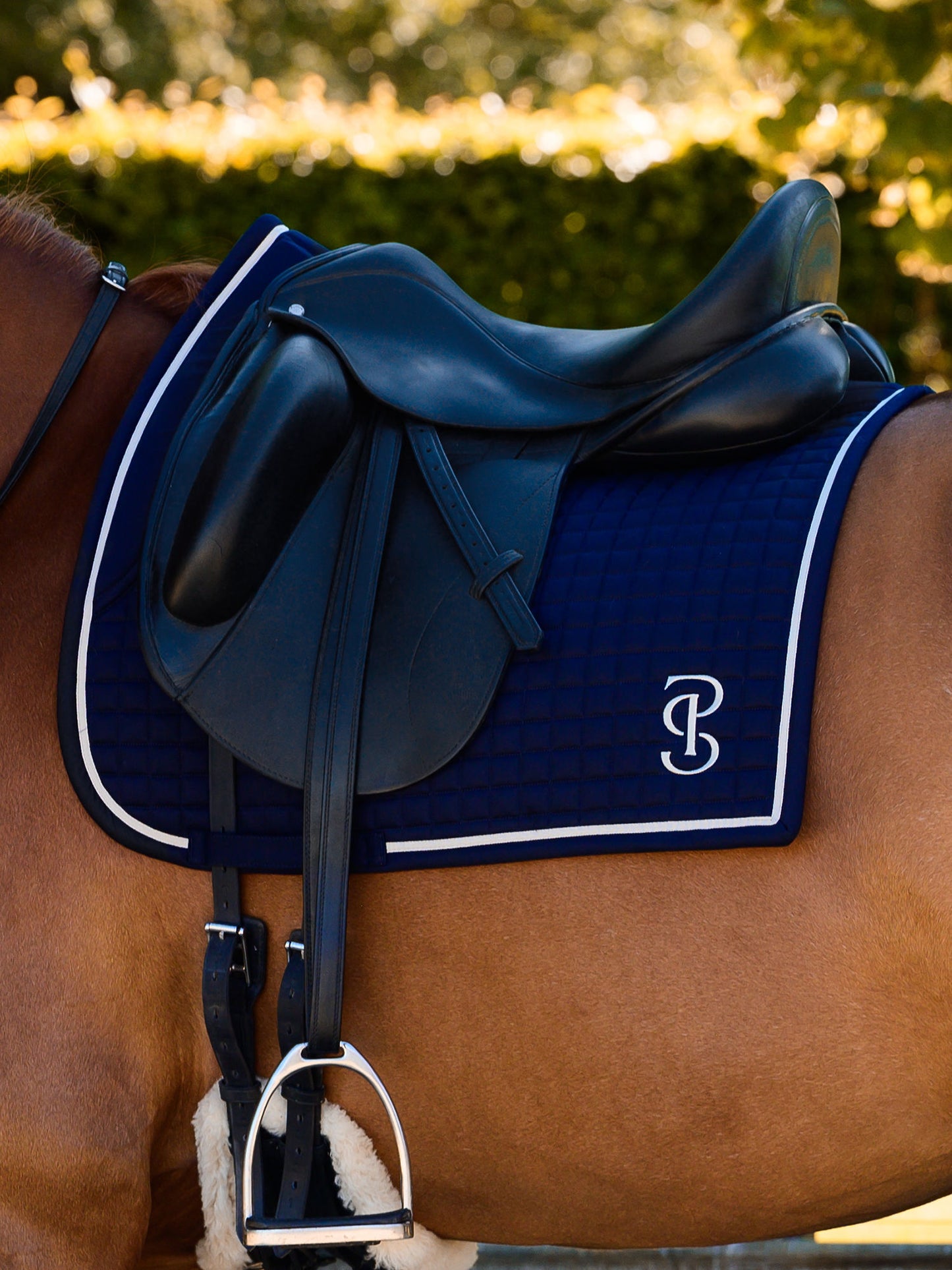 SP Elite NAVY Dressage