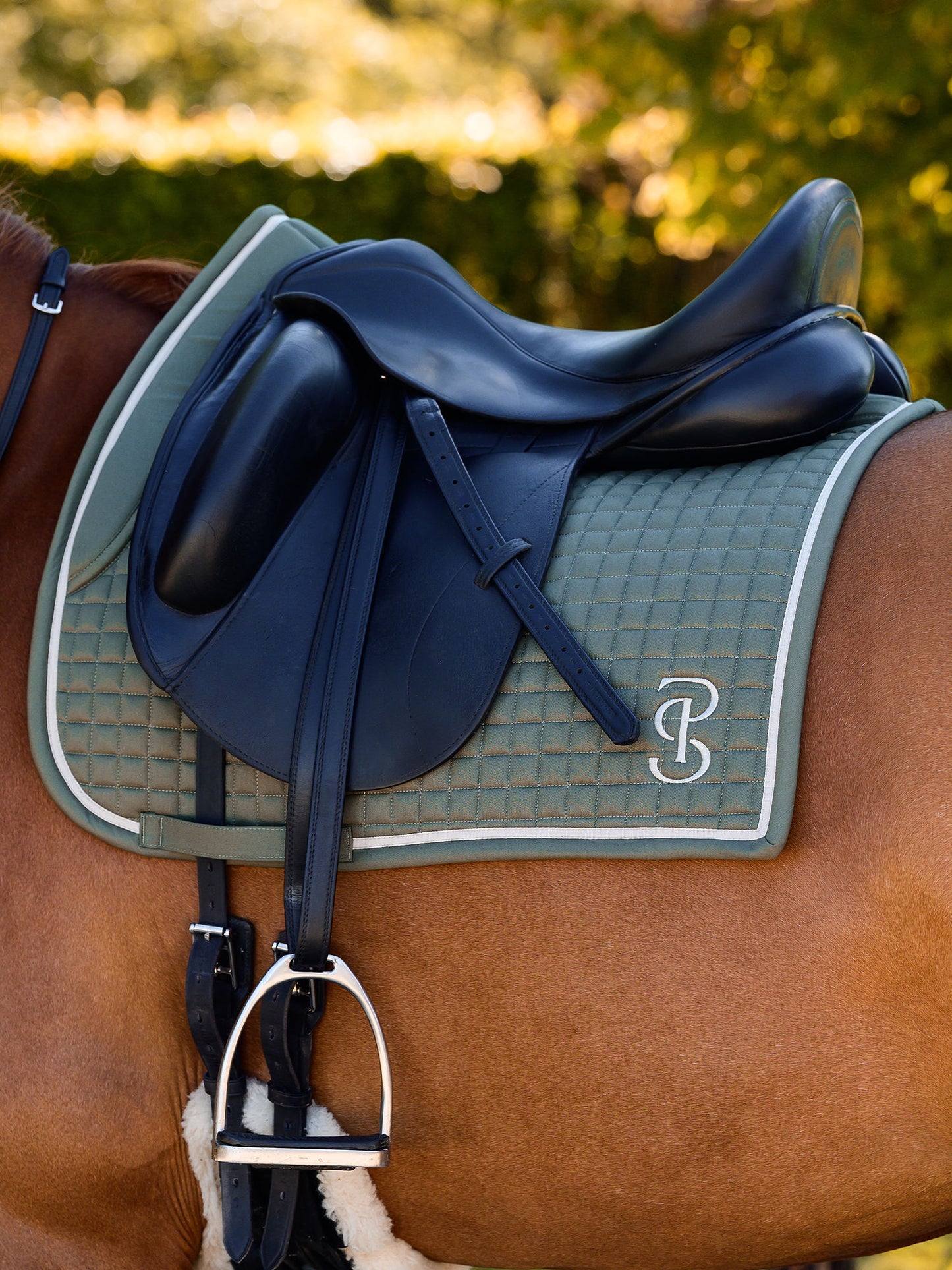 SP Elite VINTAGE GREEN Dressage