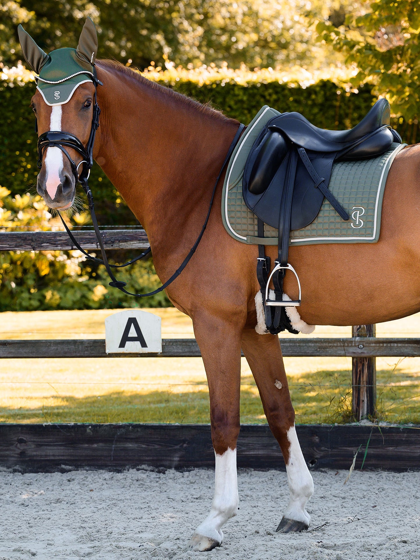 SP Elite VINTAGE GREEN Dressage