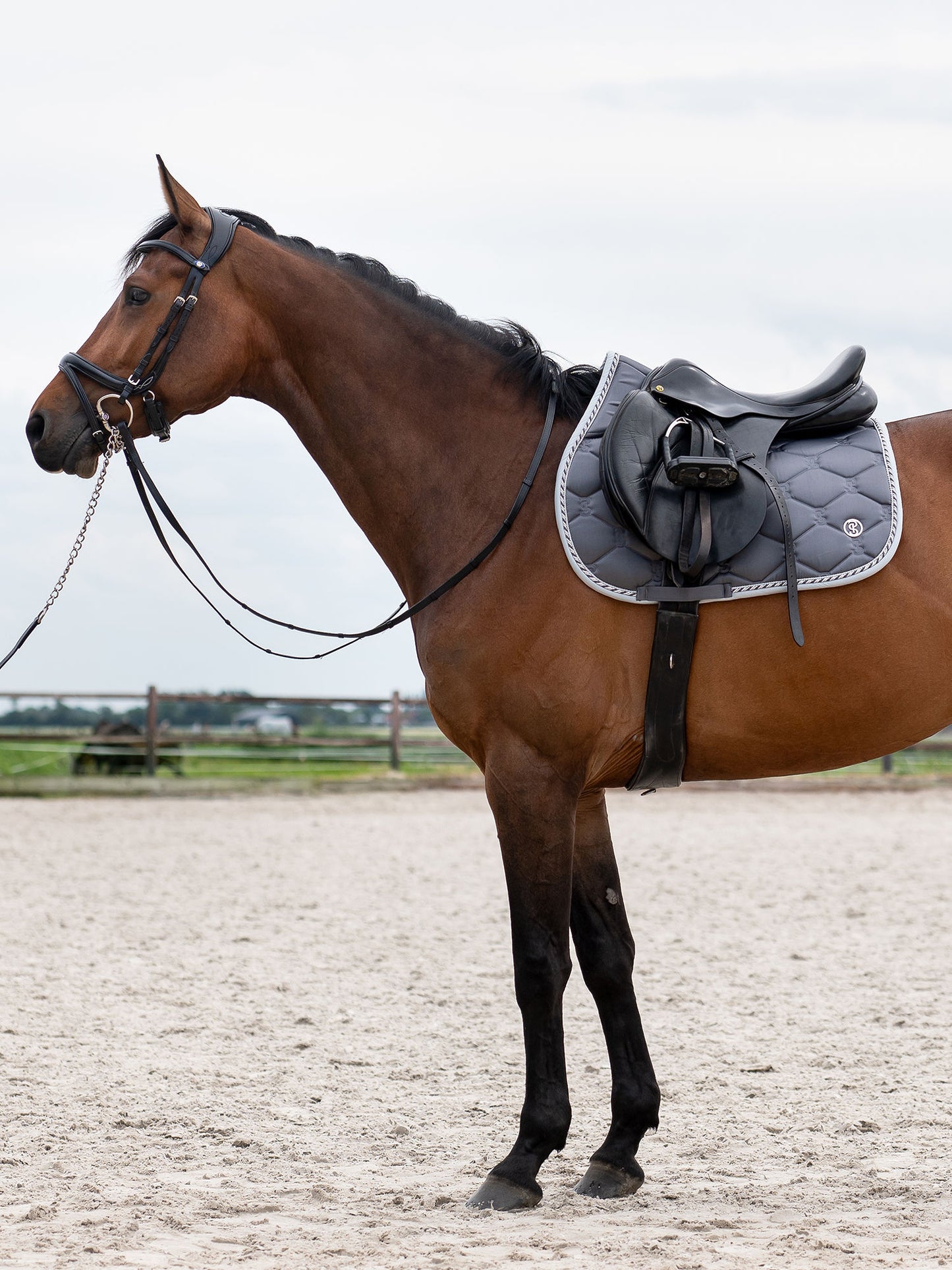 SP Signature LAVA GREY Dressage