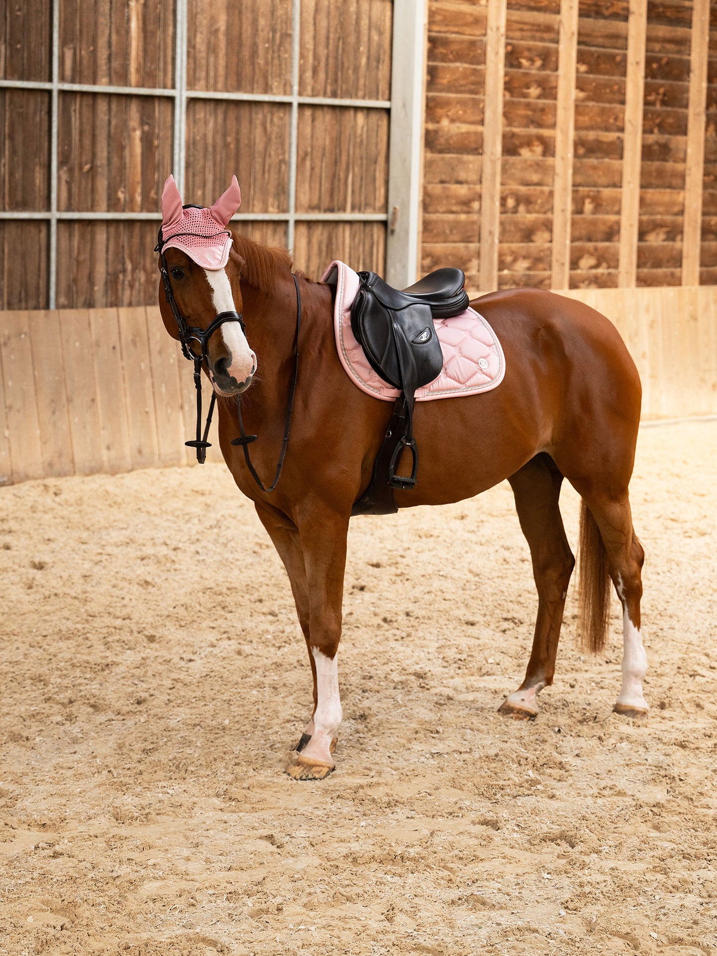 SP Signature HORTENSIA PINK, Jump