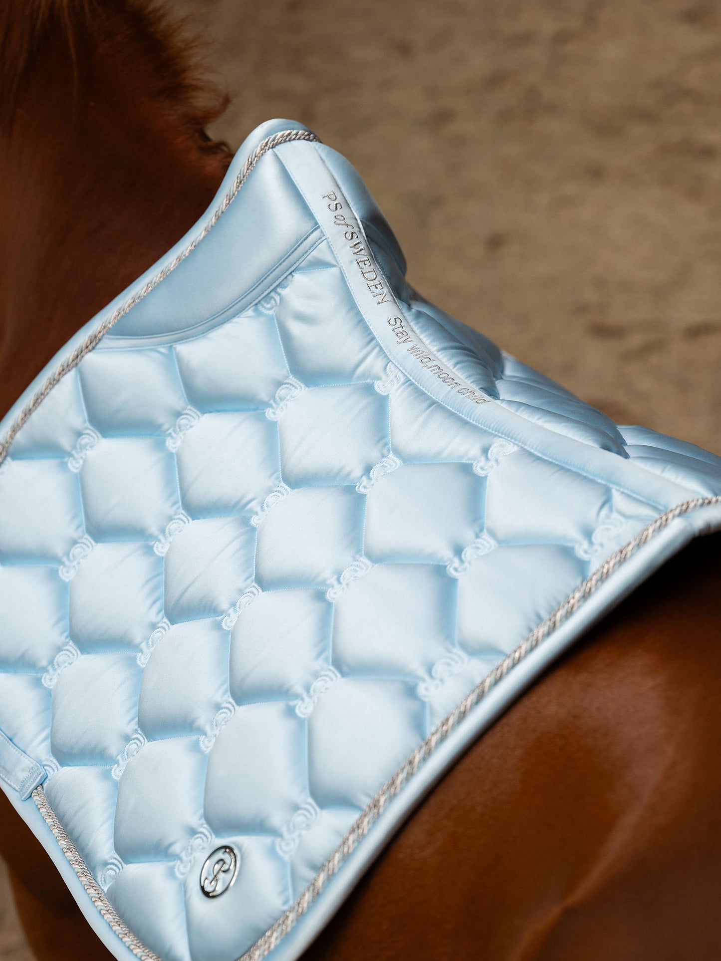 SP Signature MORNING BREEZE, Jump