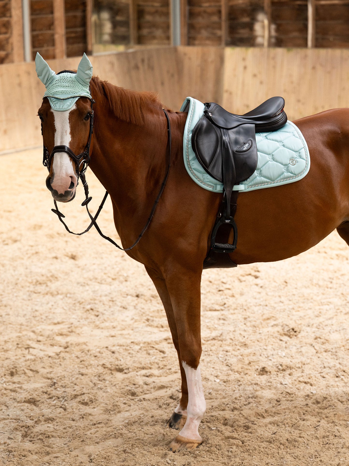 SP Signature ARCTIC AQUA, Jump
