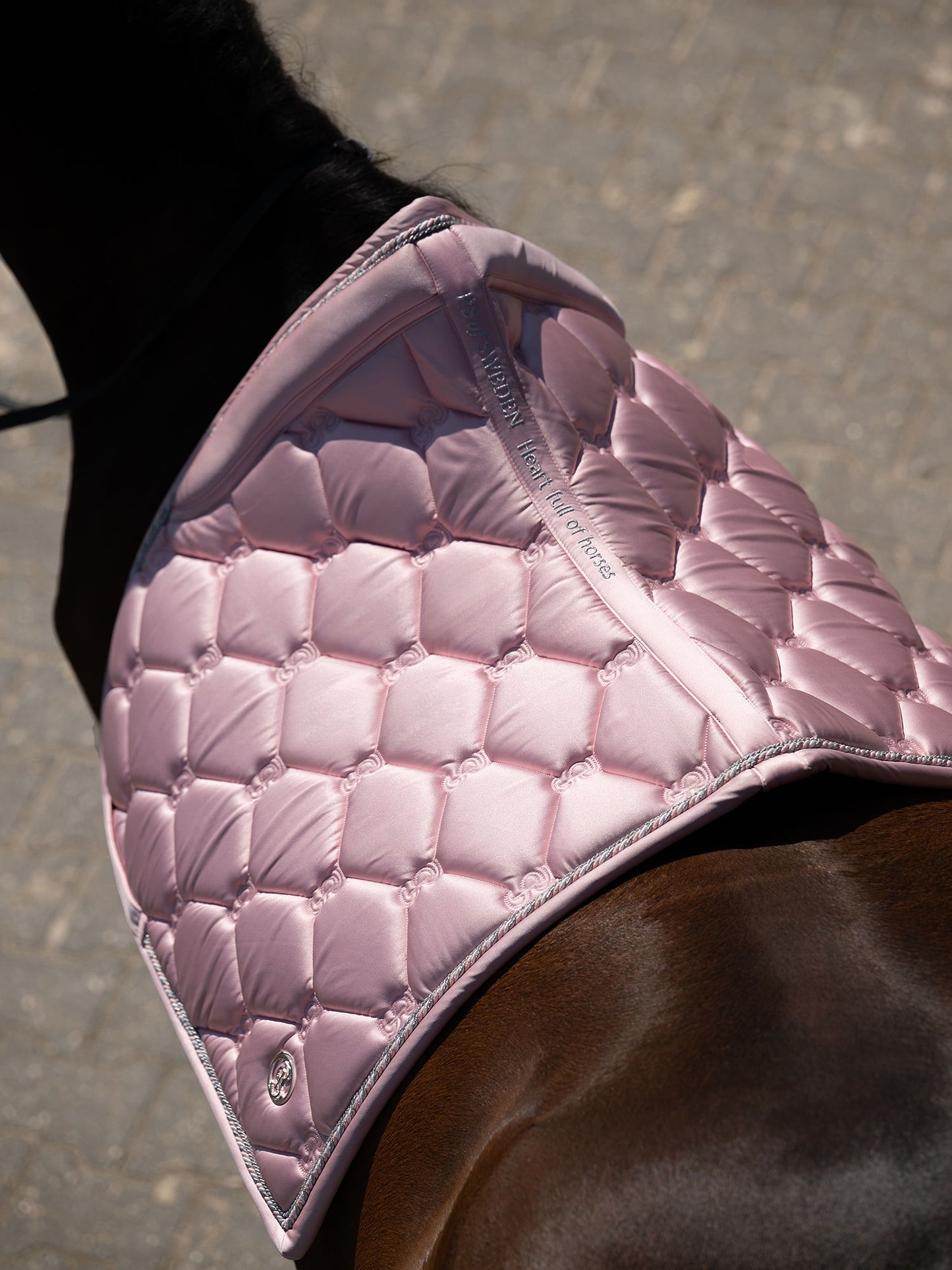 SP Signature HORTENSIA PINK, Dressage