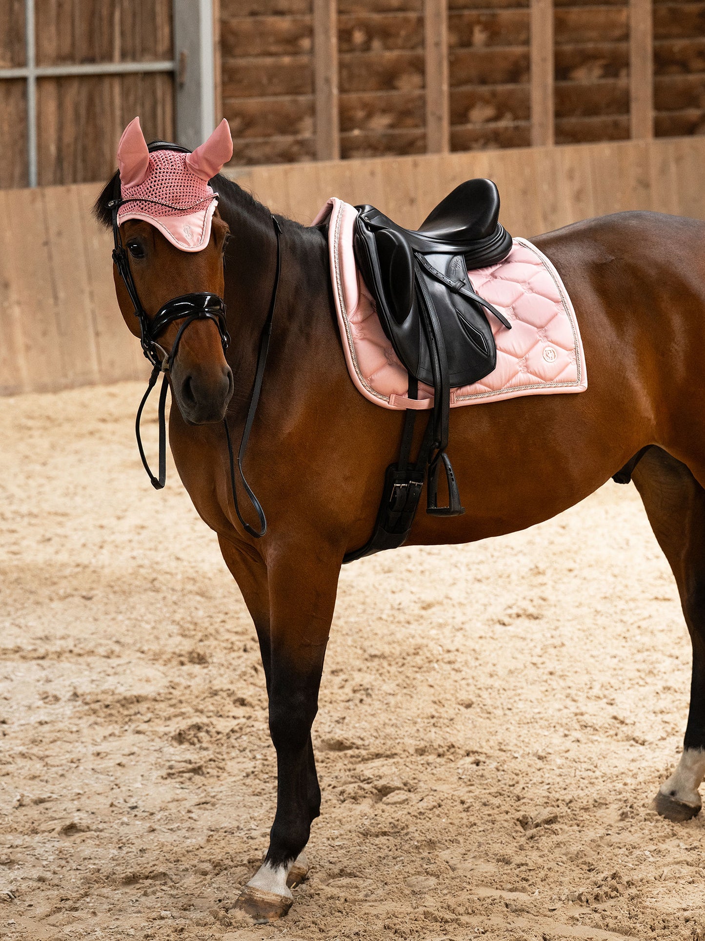 SP Signature HORTENSIA PINK, Dressage