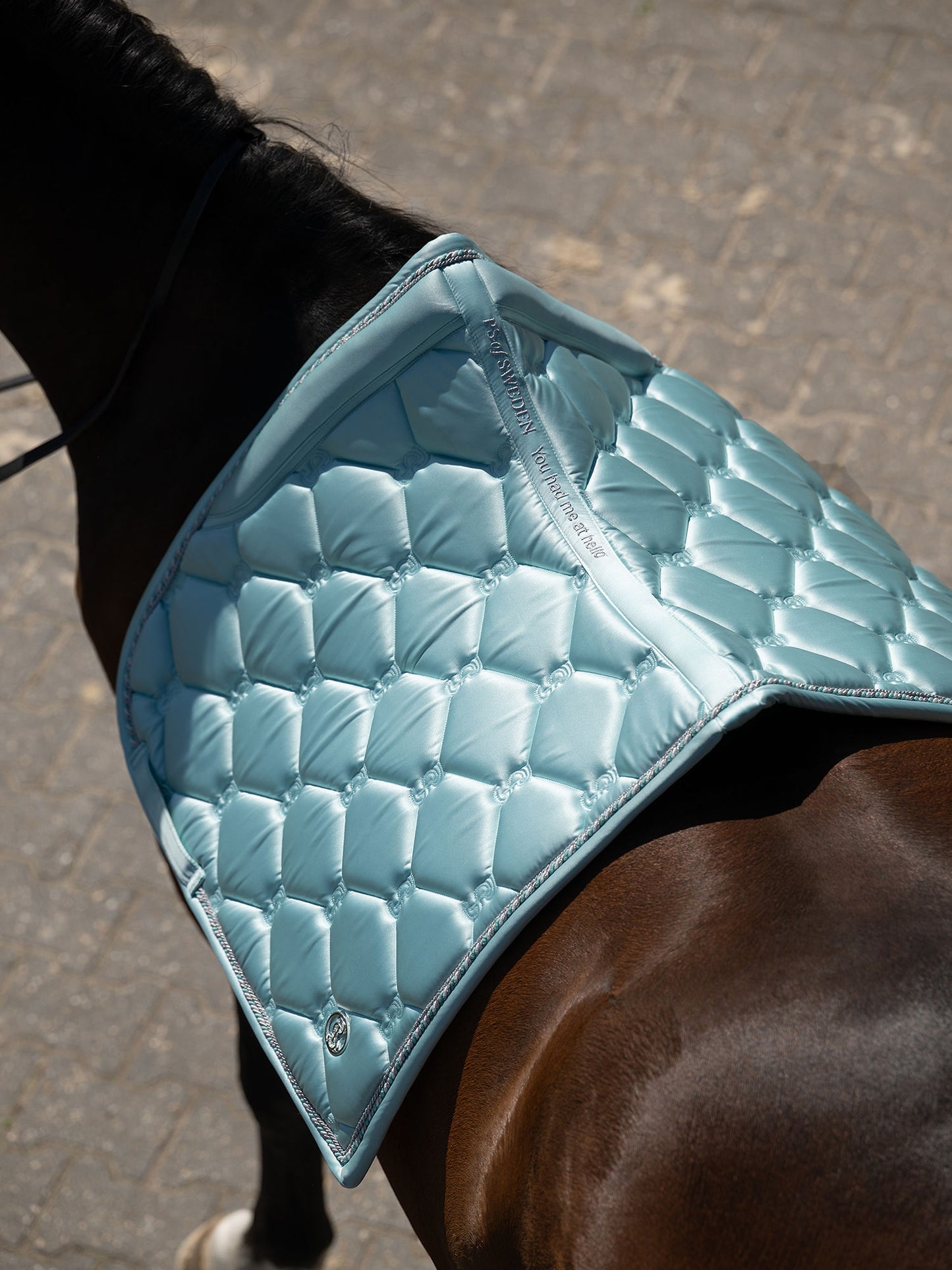 SP Signature ARCTIC AQUA, Dressage
