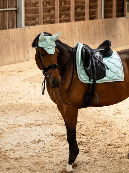 SP Signature ARCTIC AQUA, Dressage
