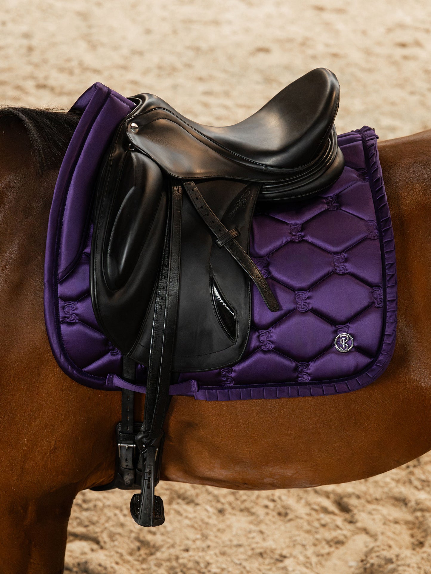 SP Ruffle ECLIPSE PURPLE, Dressage