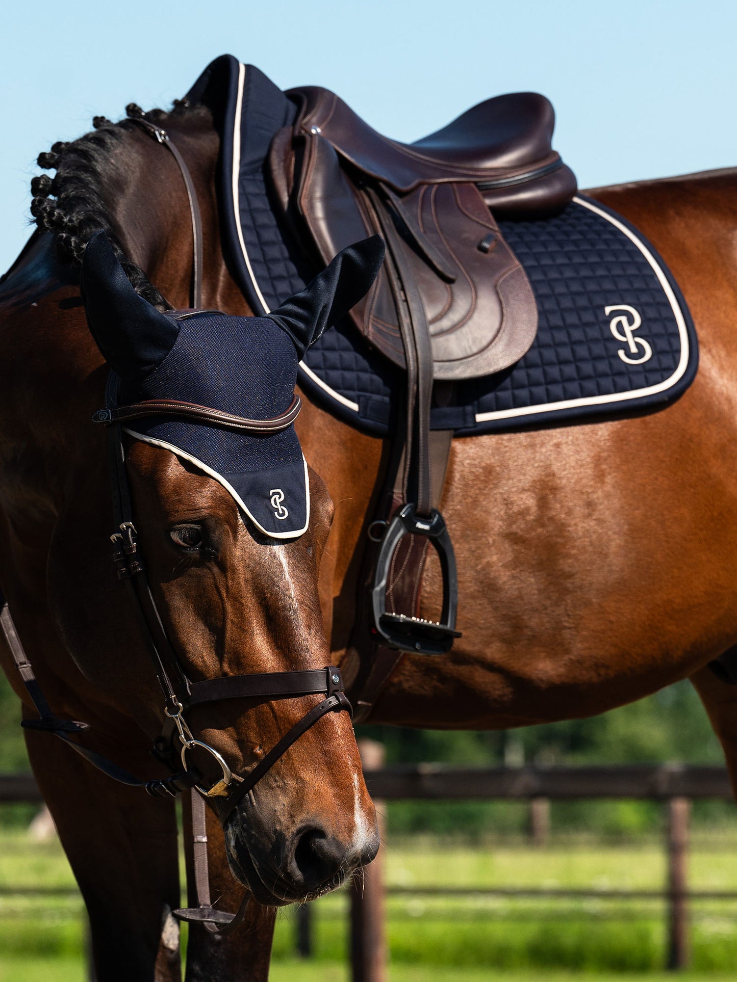 SP Elite NAVY Dressage