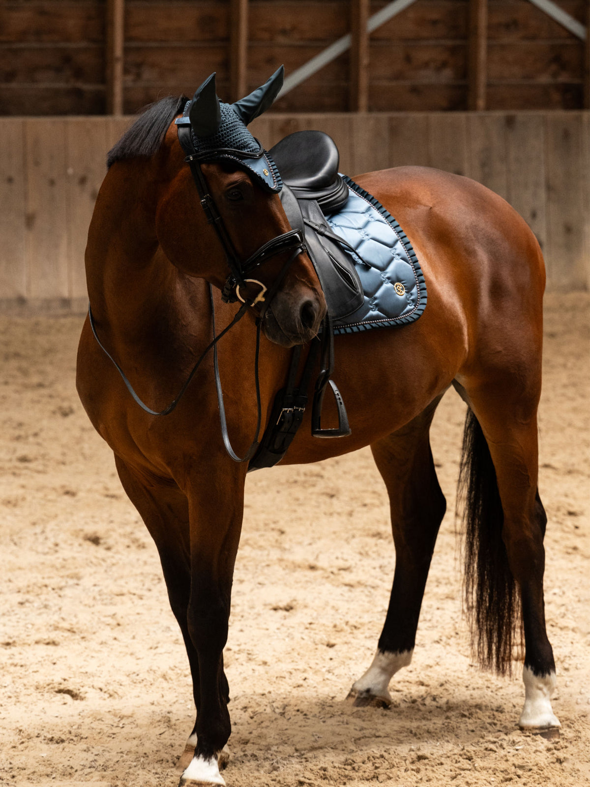 SP Ruffle Pearl SHADOW BLUE, Dressage