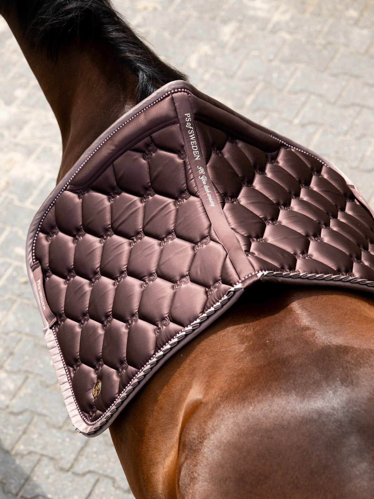 SP Ruffle Pearl EARTH BROWN, Dressage
