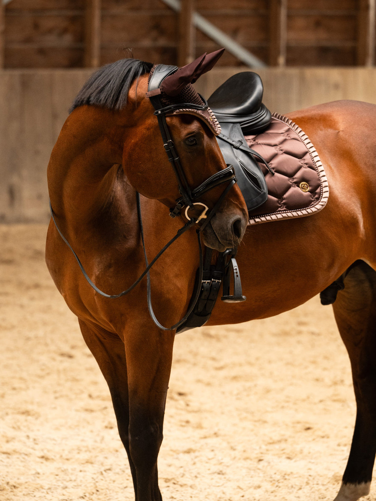 SP Ruffle Pearl EARTH BROWN, Dressage