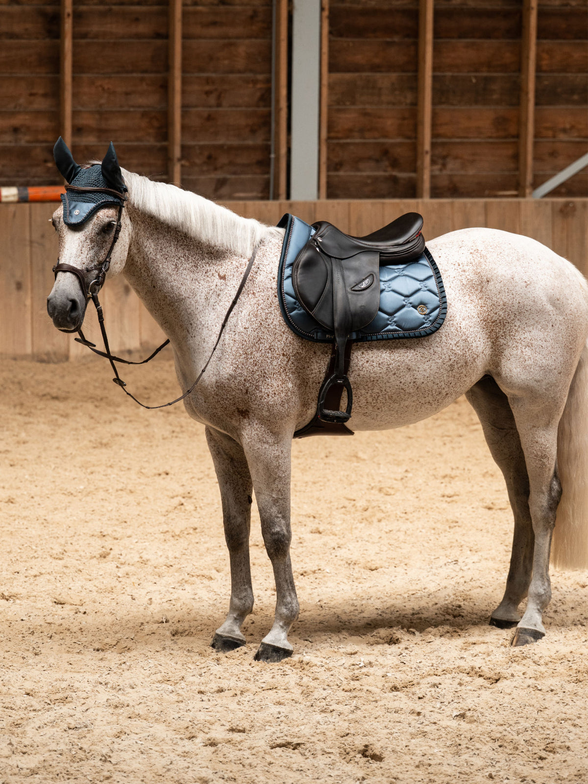 SP Ruffle Pearl SHADOW BLUE, Jump