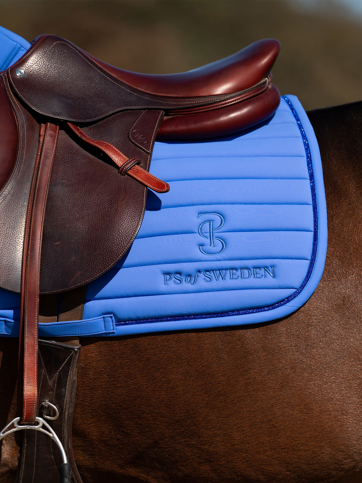 SP STRIPE Blue Violet, Jump