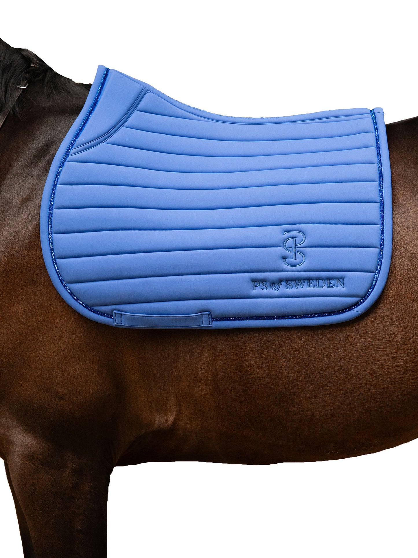 SP STRIPE Blue Violet, Jump