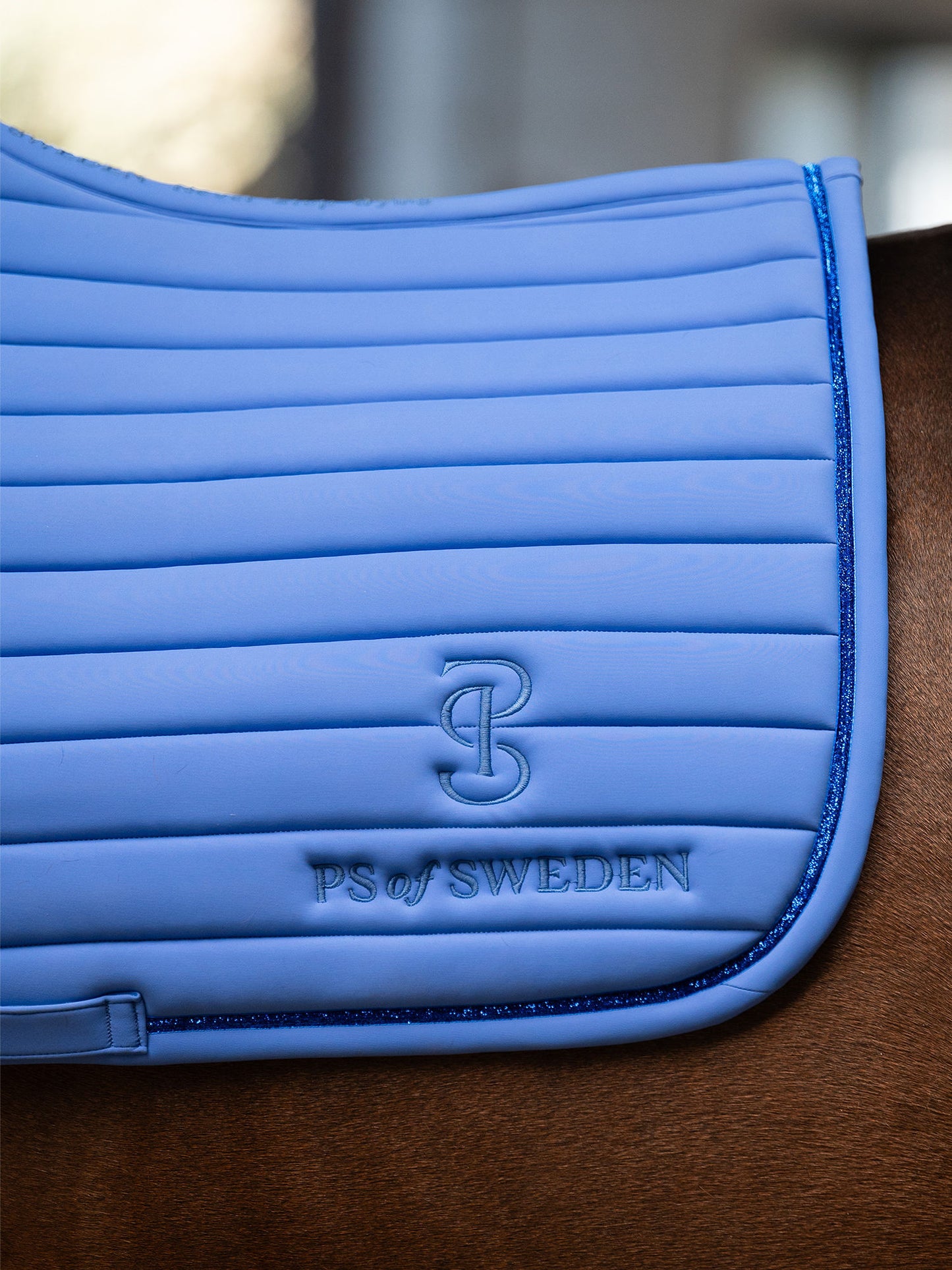 SP STRIPE Blue Violet, Jump