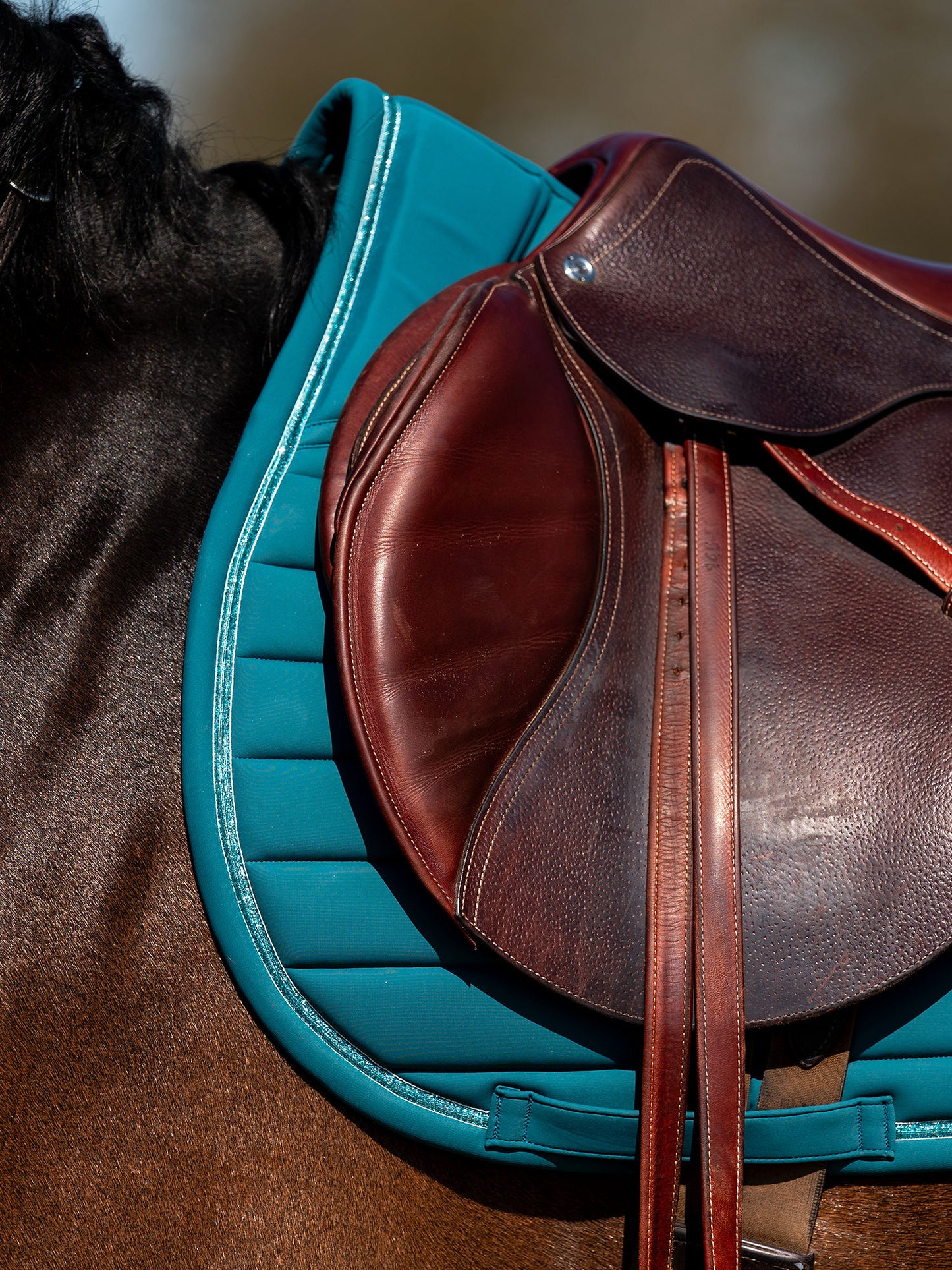 SP STRIPE JAde Noir, Dressage