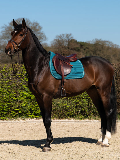 SP STRIPE JAde Noir, Jump